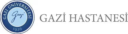 gazi_logo